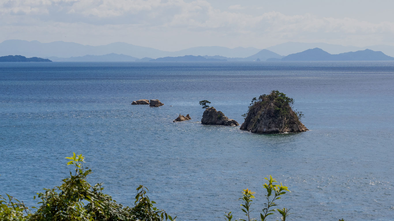 治すのではなく、壊れにくい体をつくる予防を。