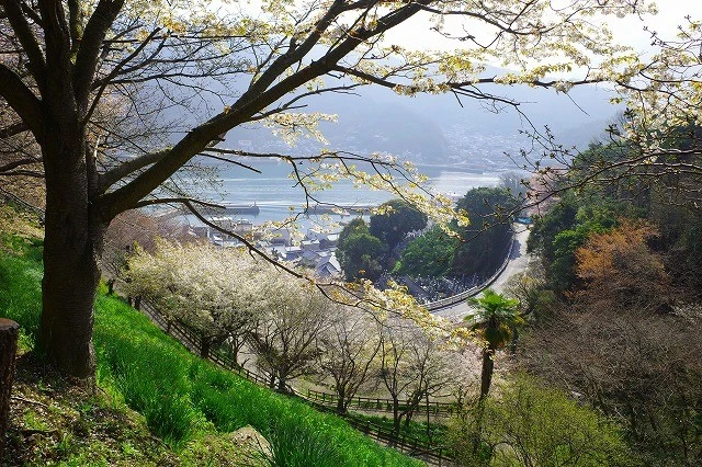 とびしまの景色