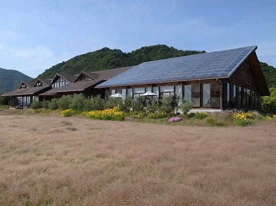 黄色い花と家が立ち並ぶとびしま