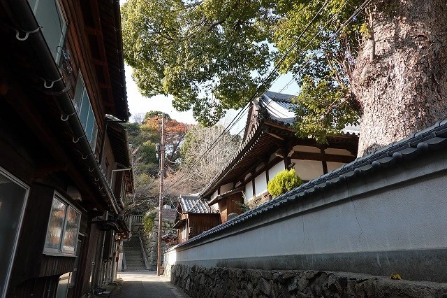 大木のある御手洗の塀沿いの道2