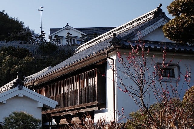 松濤園越しの景色